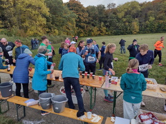 IMG 20251018 115012959 HDR